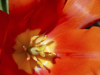 Similar image 21177762