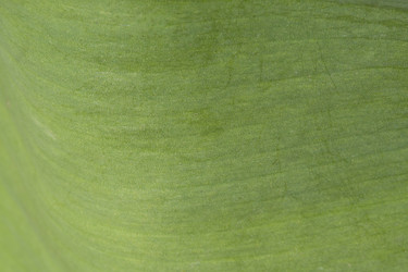 Similar image 21177763