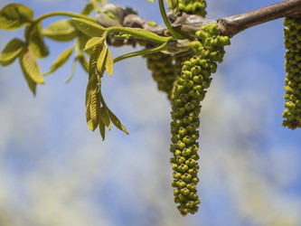 Similar image 21177765