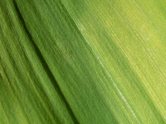 Similar image 21177767