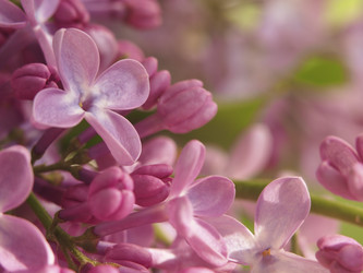 Similar image 21177769