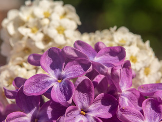 Similar image 21177770