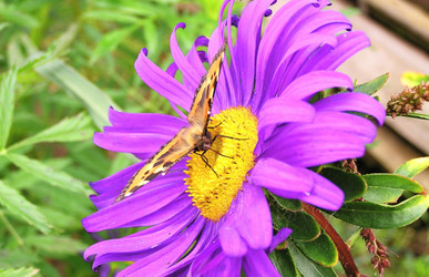 Similar image 21174873