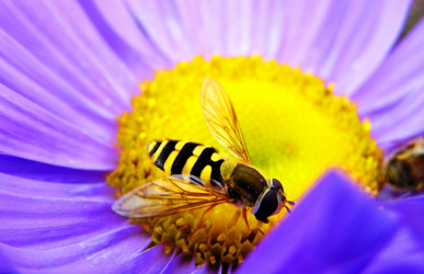 Similar image 21174874