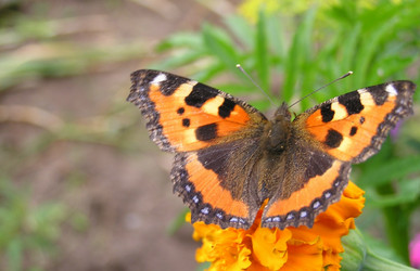 Similar image 21174875