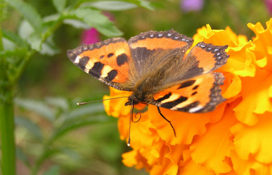 Similar image 21175397