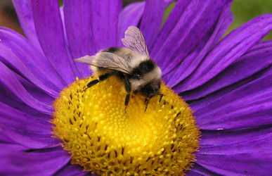 Similar image 21175398