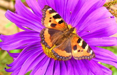 Similar image 21175400