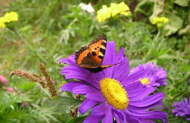 Similar image 21175401