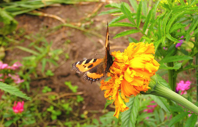 Similar image 21175402