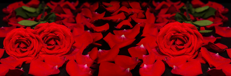 Similar image 21200452