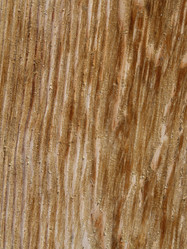 Similar image 21177777