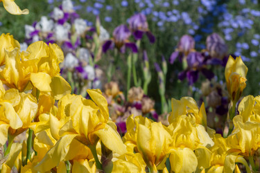 Similar image 21177780