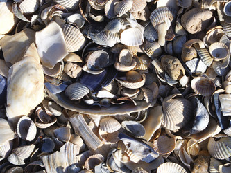 Similar image 21177782