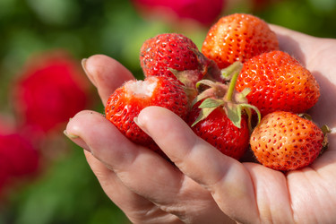 Similar image 21177783