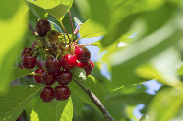 Similar image 21177788