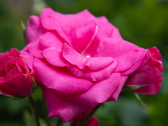 Similar image 21177790