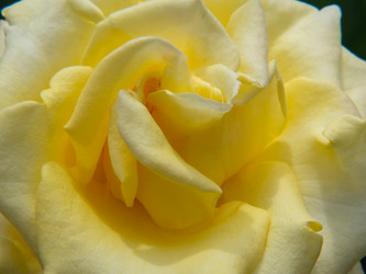 Similar image 21177791