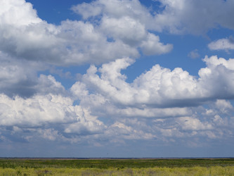 Similar image 21177792