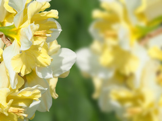 Similar image 21177793