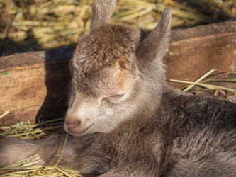 Similar image 21177795