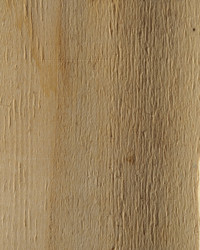 Similar image 21177799