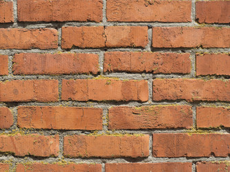 Similar image 21177800