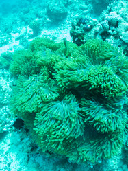 Similar image 21179148