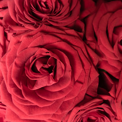 Similar image 21179150