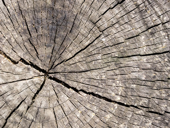 Similar image 21179151