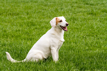 Similar image 21179154