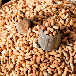 Similar image 21179158