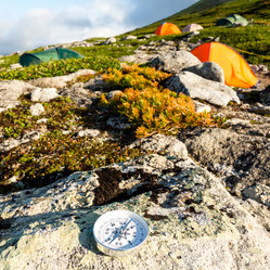 Similar image 21179163