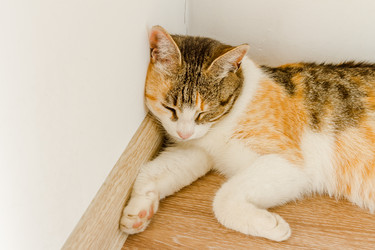 Similar image 21179167