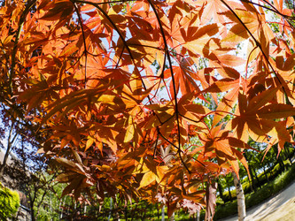 Similar image 21179174