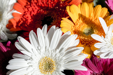 Similar image 21179175