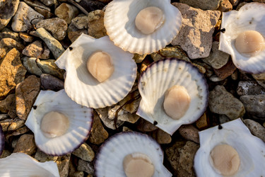 Similar image 21179181