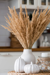 Similar image 21178744