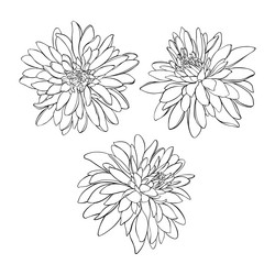 Similar image 21195821