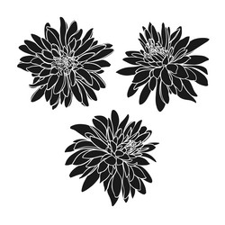 Similar image 21177364