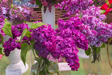 Similar image 21174590