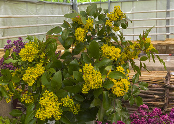 Similar image 21174591