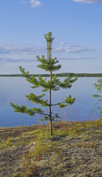 Similar image 21174598