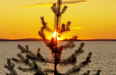 Similar image 21174599