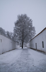 Similar image 21174604