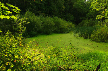 Similar image 21174605