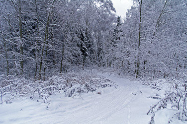 Similar image 21174606