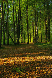 Similar image 21174607