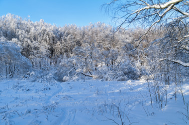 Similar image 21174608