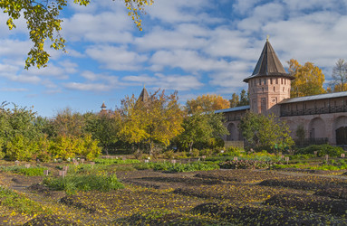 Similar image 21174610